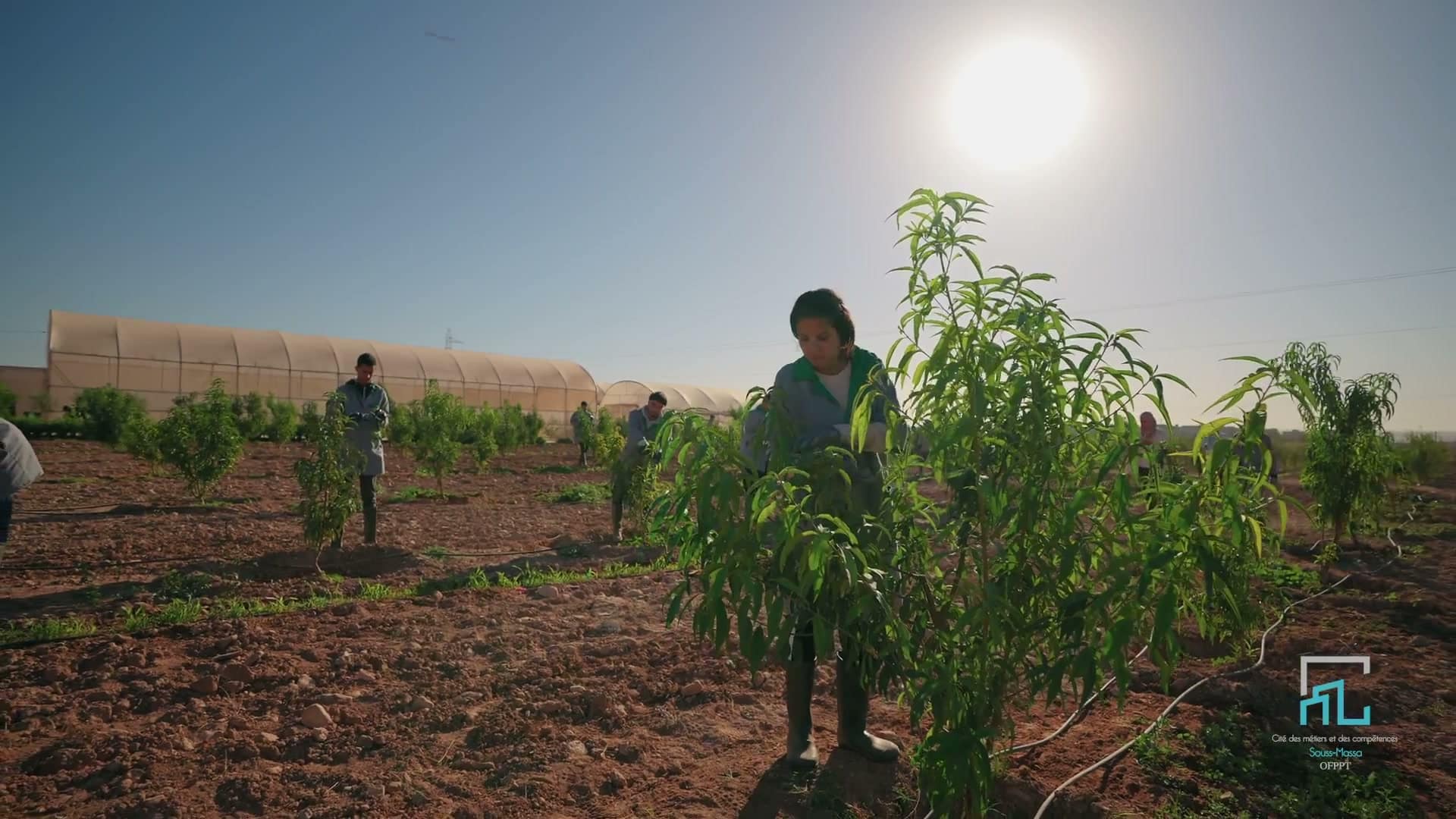 Un jeune en formation agricole, sous le soleil · image du film de la CMC Souss-Massa